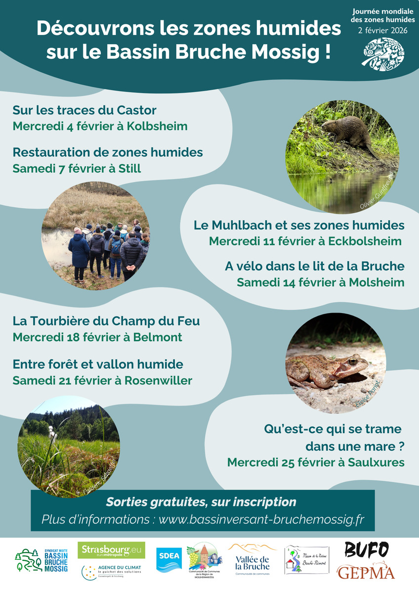 En février, découvrons les zones humides