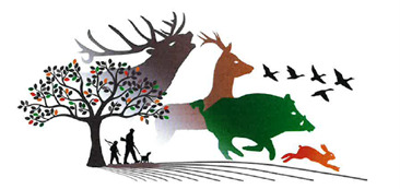 Dates des journées de chasse (battues) 