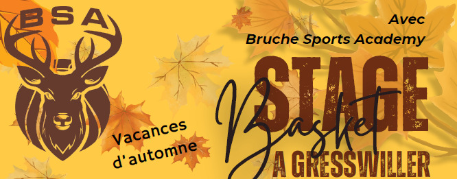 BSA vous propose un stage de perfectionnement pendant les vacances d'Automne