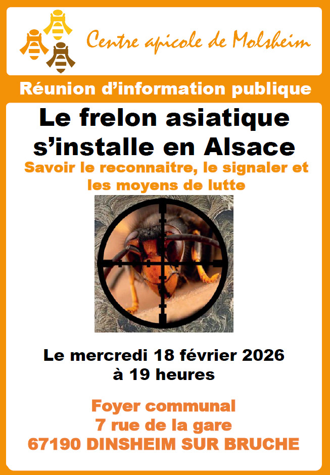 Réunion d'information publique &quote;Le frelon asiatique&quote;